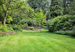 Optimiser l'expérience du jardin à Luçon