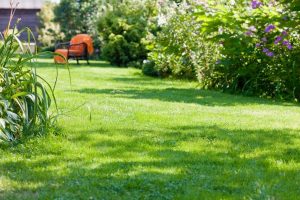 travaux jardin et paysage Luçon